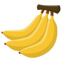 Banana Fruit Illustration vector