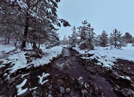 Amazing Cinematic Aerial View On Freezing River. Aerial View Flight Above Frozen Creek Scenic View Of Nature photo