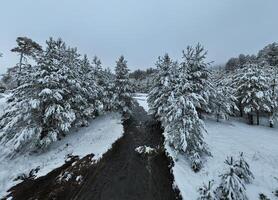 Amazing Cinematic Aerial View On Freezing River. Aerial View Flight Above Frozen Creek Scenic View Of Nature photo