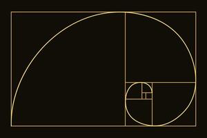 Golden ratio. Fibonacci number, section, divine proportion, spiral. Modern illustration. vector