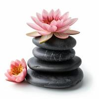 Stacked smooth black stones with vibrant pink lotus flowers on a white background, symbolizing summer zen and tranquility in spa and wellness concepts photo