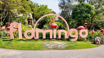 Vibrant flamingo themed garden display with oversized letters and tropical birds, perfect for World Flamingo Day and nature park visits 15 feb 2024, Vietnam, Pho quoc photo