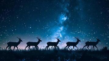 Silhouette of Three Deers at Night with Snowfall and Starry Sky. Concept of Nature, Wildlife, Winter, Night Scenery photo
