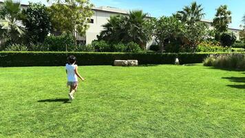 A small child runs cheerfully along a green lawn, surrounded by bright flowers and tall trees, their shadows sheltering him from the warm summer sun. video