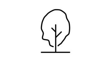 Tree outline icon animation. transparent background video