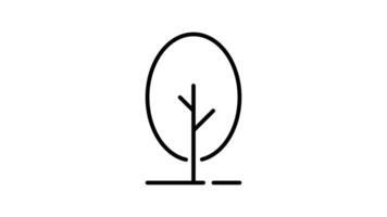 Tree outline icon animation. transparent background video