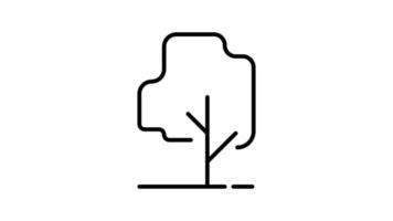 Tree outline icon animation. transparent background video