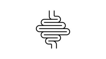 Intestines outline icon animation. transparent background video