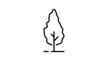 Tree outline icon animation. transparent background video