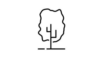 Tree outline icon animation. transparent background video