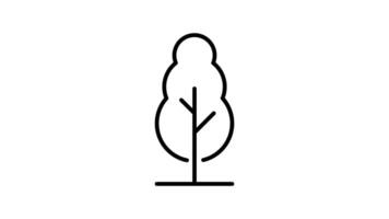 Tree outline icon animation. transparent background video