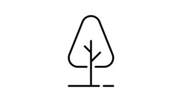 Tree outline icon animation. transparent background video