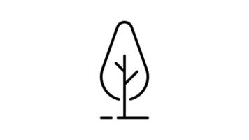 Tree outline icon animation. transparent background video