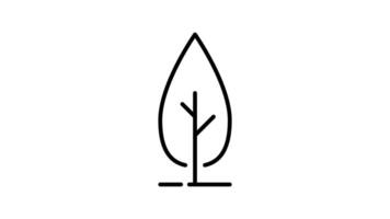 Tree outline icon animation. transparent background video