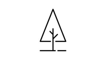 Tree outline icon animation. transparent background video