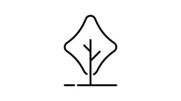 Tree outline icon animation. transparent background video