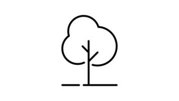 Tree outline icon animation. transparent background video