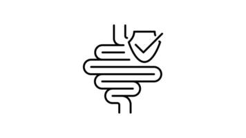 Intestines outline icon animation. transparent background video