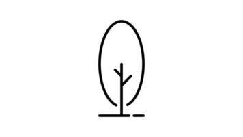 Tree outline icon animation. transparent background video