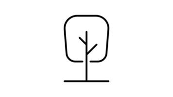 Tree outline icon animation. transparent background video