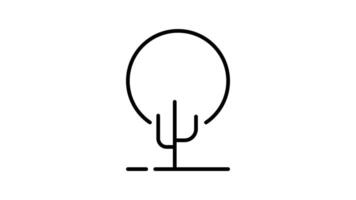 Tree outline icon animation. transparent background video