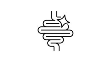 Intestines outline icon animation. transparent background video