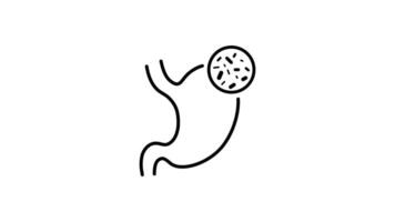 Stomach outline icon animation. transparent background video
