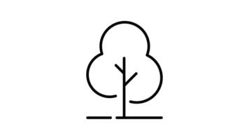 Tree outline icon animation. transparent background video