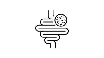Intestines outline icon animation. transparent background video