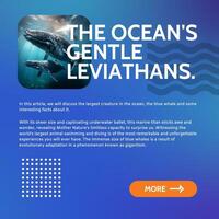 Article About Blue Whale Linkedin Post Template