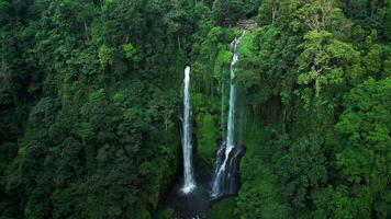 Waterfall top view jungle Sekumpul waterfall drone view video