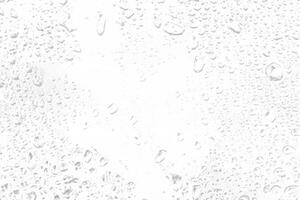 Macro Close-up of Water Droplets Texture photo