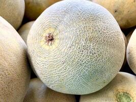 Close up image of melon, fresh and sweet fruit for summer refreshment photo