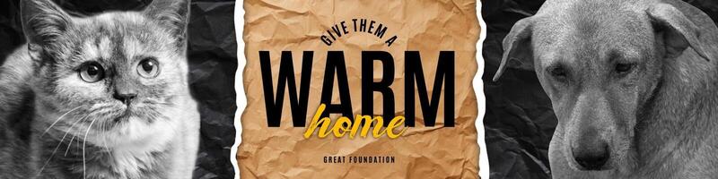 Social Service Foundation Linkedin Banner template