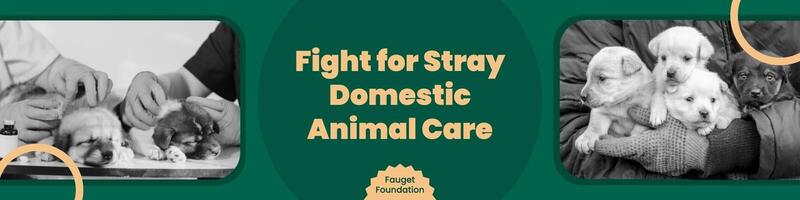 Green Animal Care Foundation Linkedin Banner template