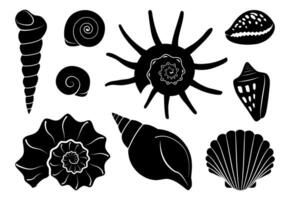 Black shell silhouette set in trendy flat style. Isolated seashells shapes on white background vector