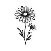 Daisy flower black silhouette isolated on a white background. vector