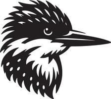 Kingfisher silhouette on a white background vector