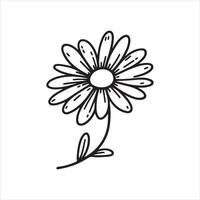 Daisy flower black silhouette isolated on a white background. vector