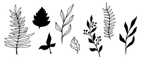 contour branch and leaves. Elegant branches. black silhouette and outline element with white background, editable. hand drawn monochrome botanical illustration, wedding cards, logo, tattoo vector
