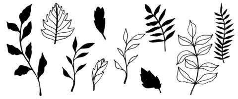 contour branch and leaves. Elegant branches. black silhouette and outline element with white background, editable. hand drawn monochrome botanical illustration, wedding cards, logo, tattoo vector