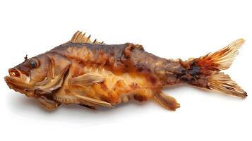 Crispy Fried Catfish Dish Isolated on White Background Showcasing Southern Cooking Technique photo
