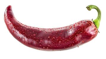 Vibrant Red Chili in High Definition FiveD Photography photo
