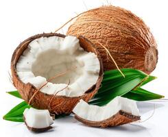Freshly Opened Coconut With Palm Leaf on White Background photo