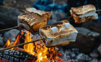 Toasted Marshmallows on Sticks Over Campfire Flames photo