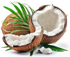 Freshly Opened Coconut With Palm Leaf on White Background photo