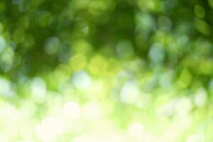 abstract green bokeh background photo