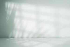 Blank wall with calm shadow for display photo