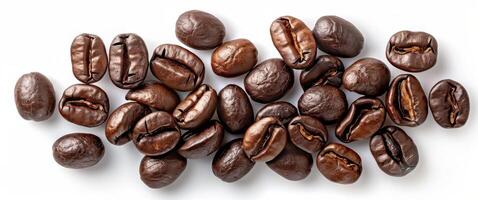 Eight Roasted Coffee Beans on a White Background photo