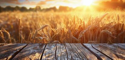 Golden Wheat Field at Sunset With Wooden Plank photo